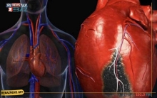  دراسة: رفع الأثقال مفيد لحرق دهون القلب