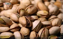 الذهب الأخضر.. 