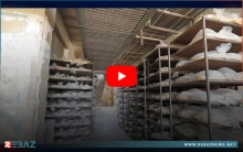استمرار أزمة الخبز في كوردستان سوريا