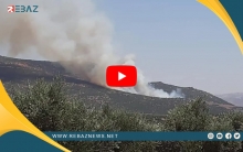 استمرار انتهاكات الفصائل المسلحة في عفرين.. آخرها إحراق الأشجار المحيطة بمنطقة راجو