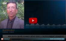مصطفى شيخو شقيق الشهيد أحمد: فقط في ناحية شيه تم رفع 275 قضية ضد فصيل (العمشات)